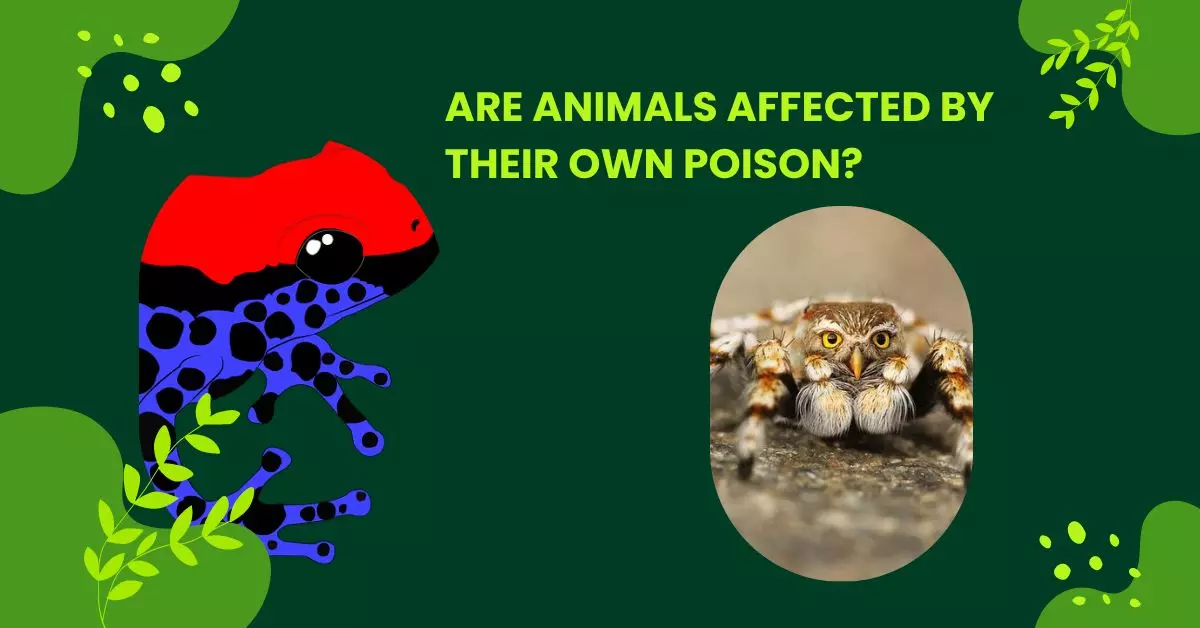 Are animals affected by their own poison 