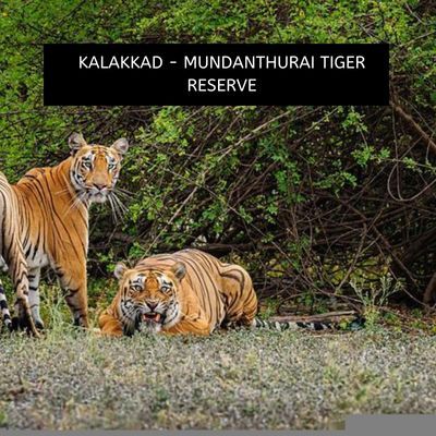 Kalakkad - Mundanthurai Tiger Reserve