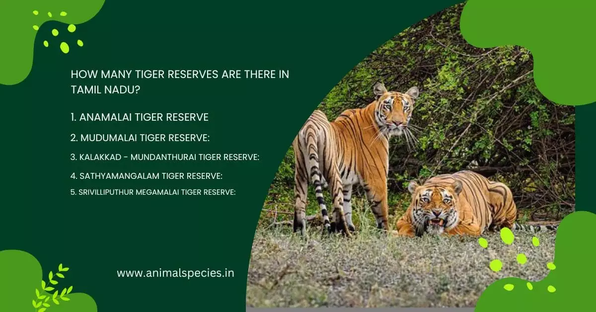 Tamil Nadu tiger reserve
