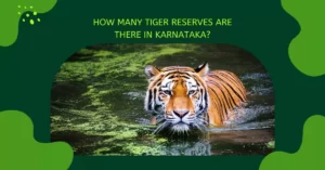 How many tiger reserves are there in Karnataka?