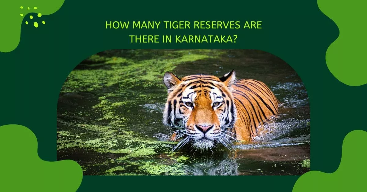 Tiger Reserve in karnataka