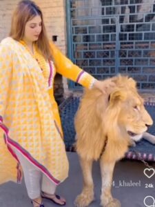 Viral Video: A Woman Chaining a Lion