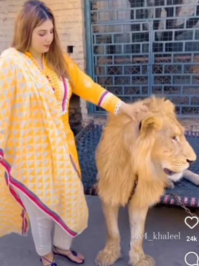 Viral Video: A Woman Chaining a Lion