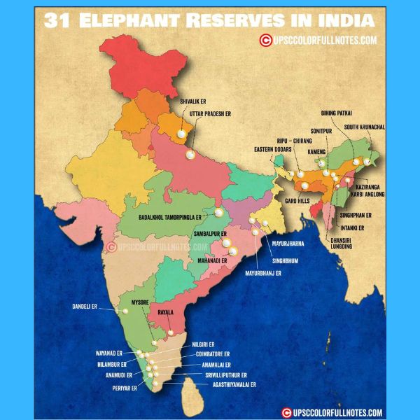 Where do Indian Elephants Live?