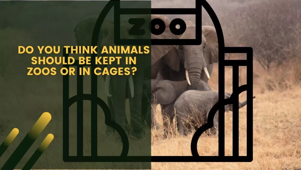 do you think animals should be kept in zoos or in cages