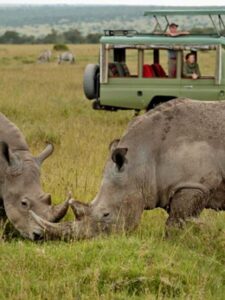 10 best places to see Rhinos