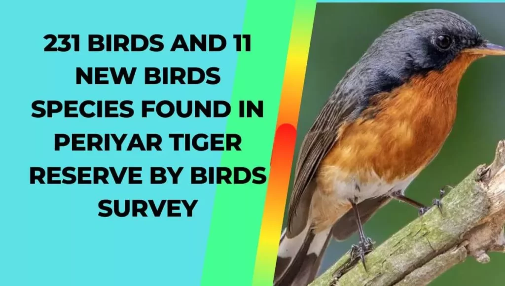 bird survey in Periyar Tiger Reserve