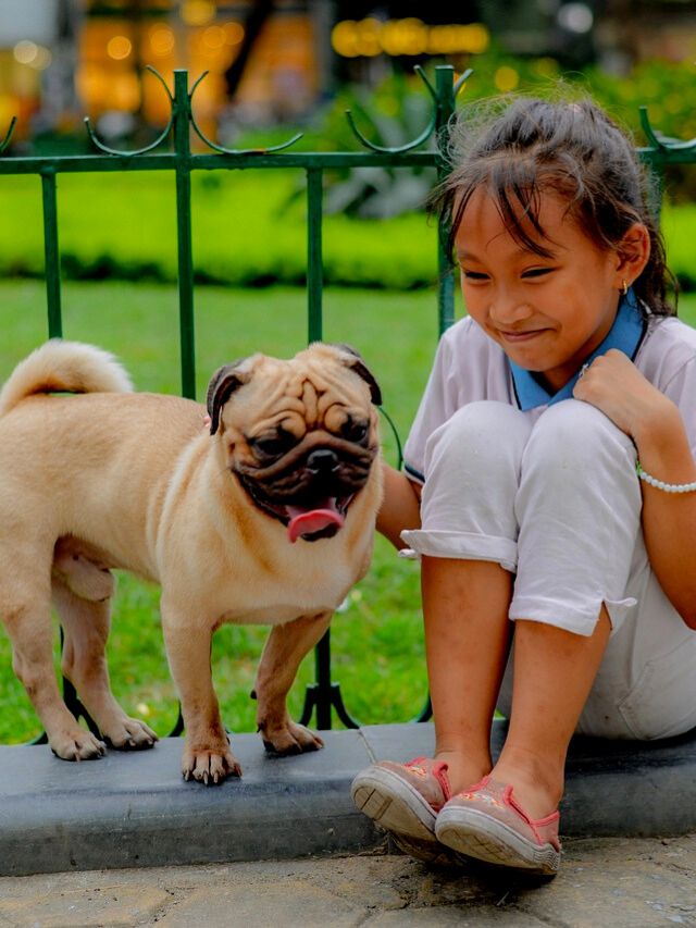 Top 10 dog breeds for children