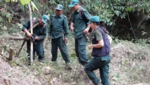 Total 8 tiger counting cameras destroyed in Sunderban by some bad people