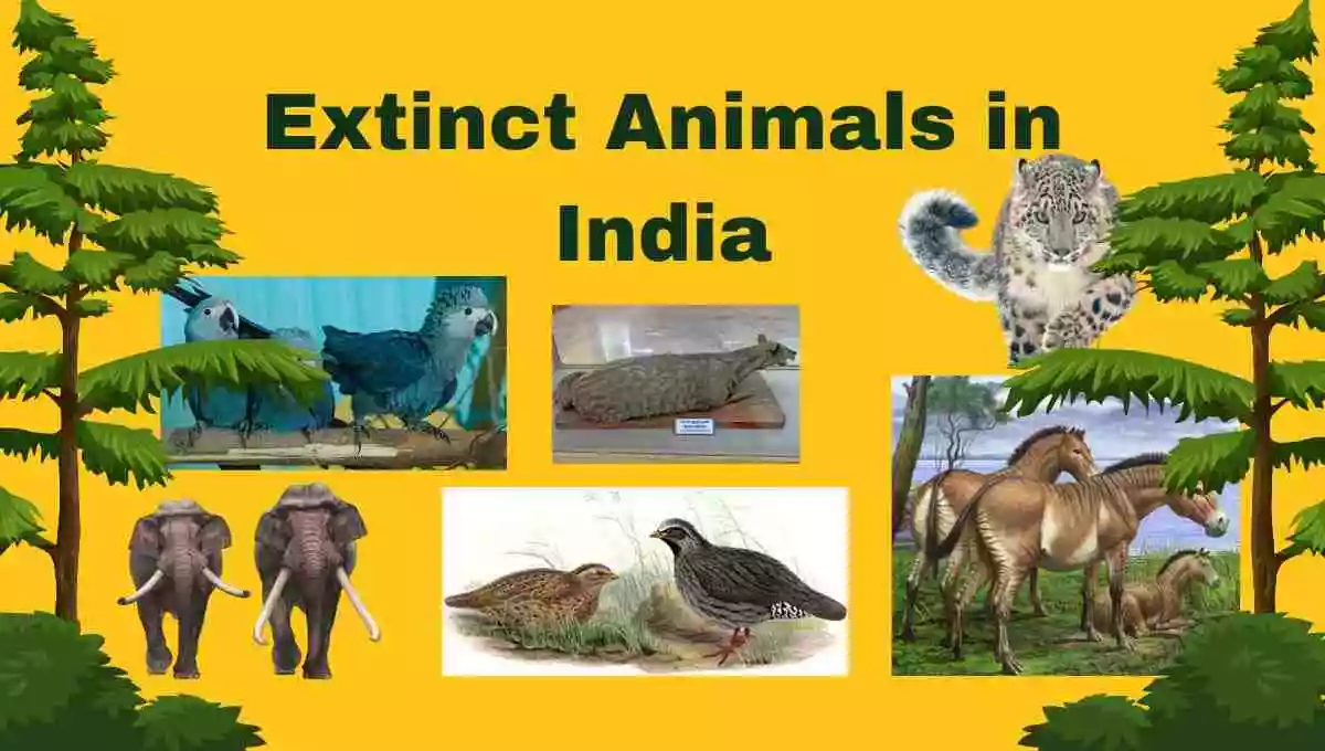 Top 10 Extinct Animals in India - with Pictures