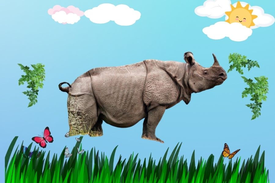 Sunderban Dwarf Rhinoceros
