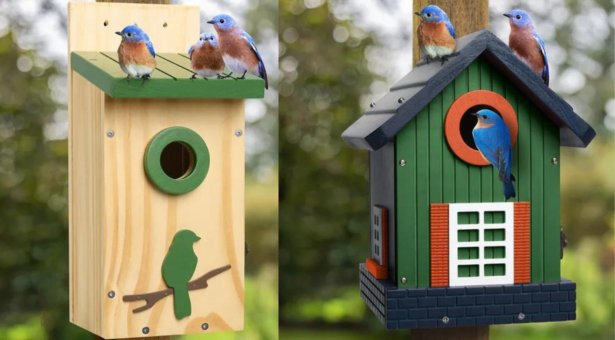 Best Wooden Birds Houses for Bluebirds