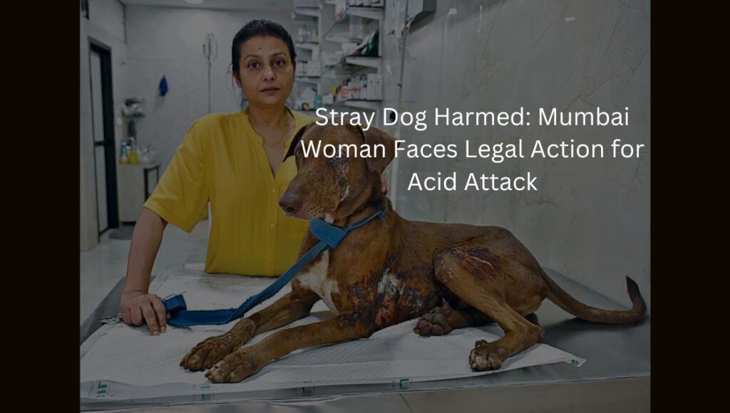 Mumbai Woman Faces Legal Action for Acid Attack