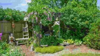 Backyard Wildlife Sanctuary: How to Transform Your Yard into a Haven for Nature