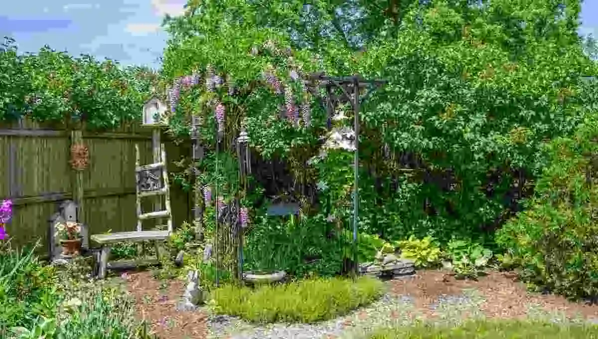 Backyard Wildlife Sanctuary: How to Transform Your Yard into a Haven for Nature