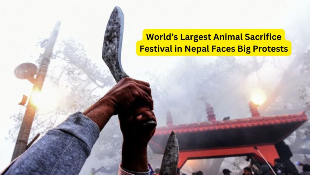 Gadhimai Festival 2024